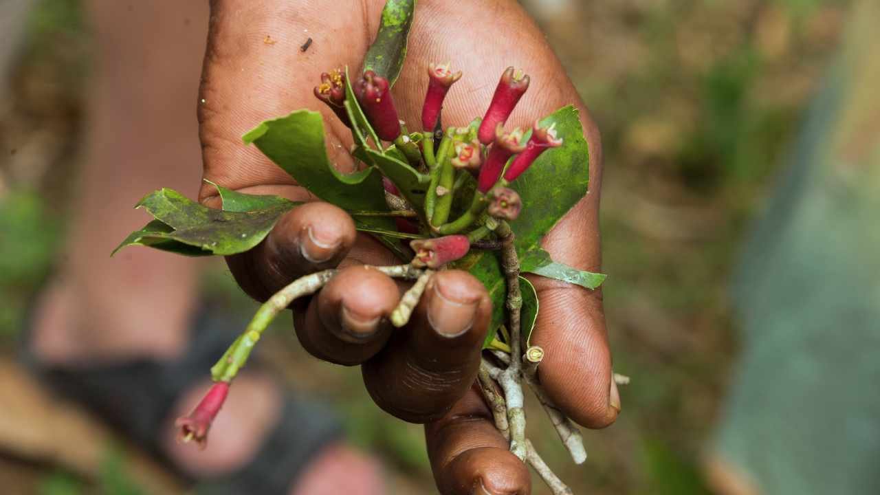 pepper cloves